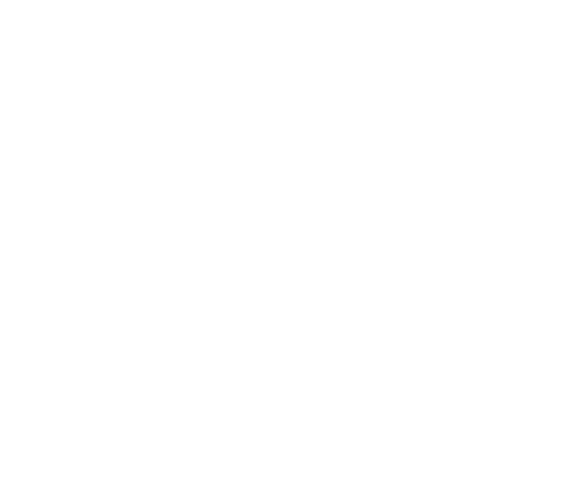 The Jed Foundation